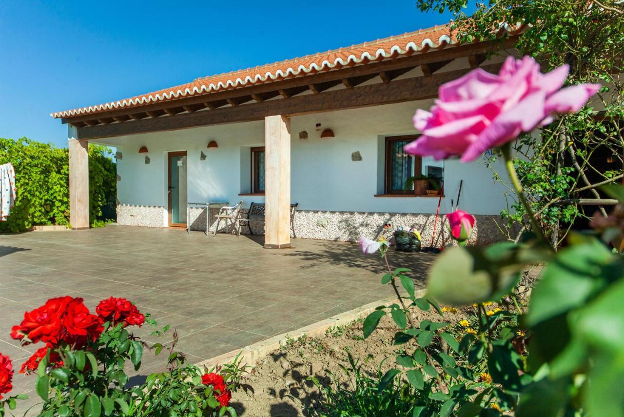 H - Montes De Praias Guesthouse Aljezur Dış mekan fotoğraf